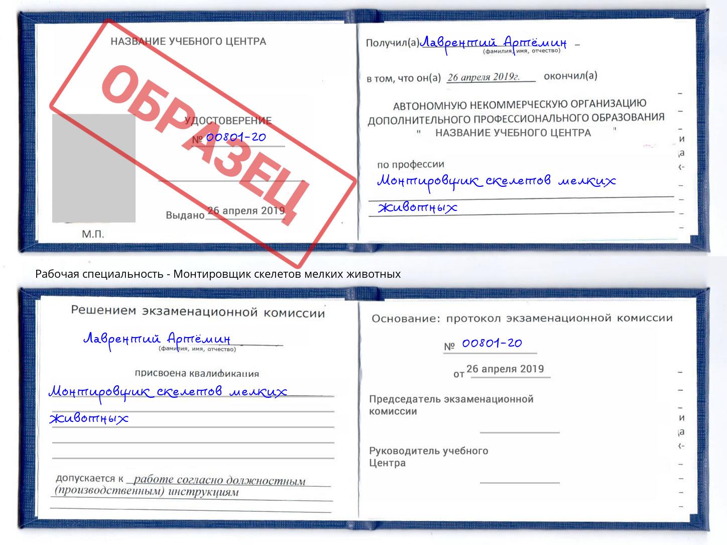 Монтировщик скелетов мелких животных Междуреченск