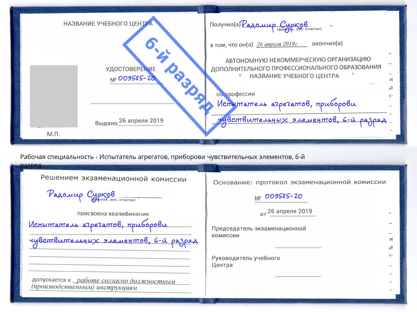корочка 6-й разряд Испытатель агрегатов, приборови чувствительных элементов Междуреченск