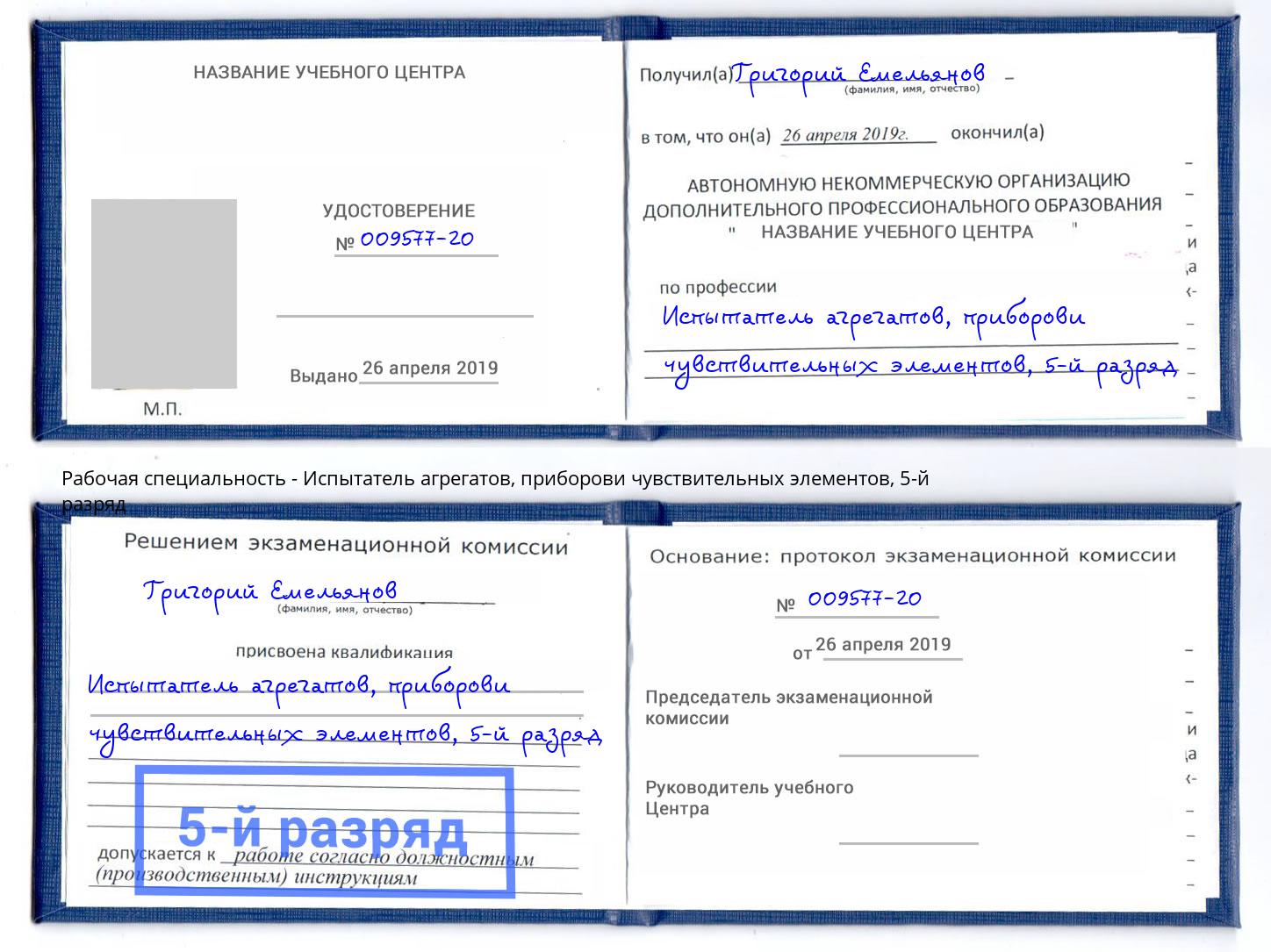 корочка 5-й разряд Испытатель агрегатов, приборови чувствительных элементов Междуреченск