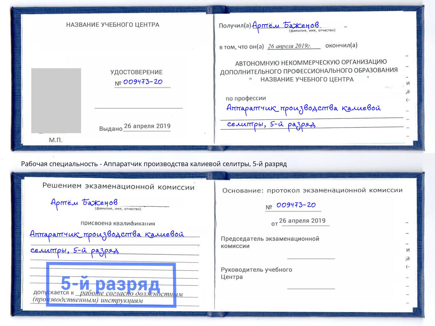 корочка 5-й разряд Аппаратчик производства калиевой селитры Междуреченск