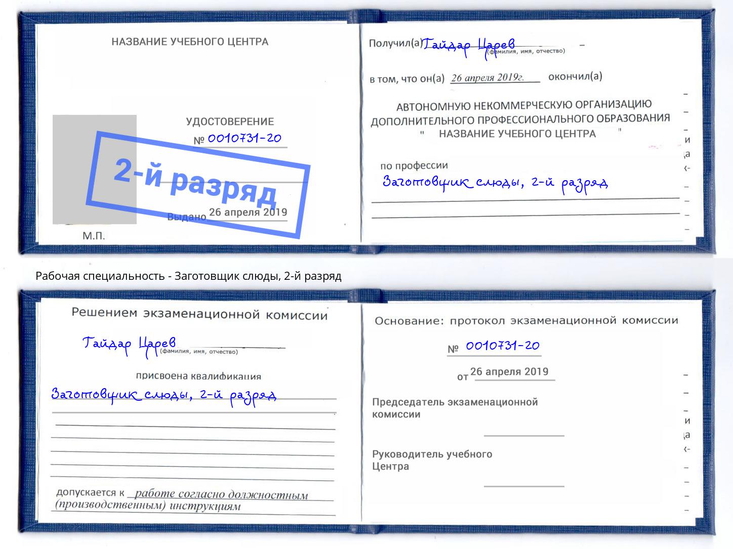 корочка 2-й разряд Заготовщик слюды Междуреченск
