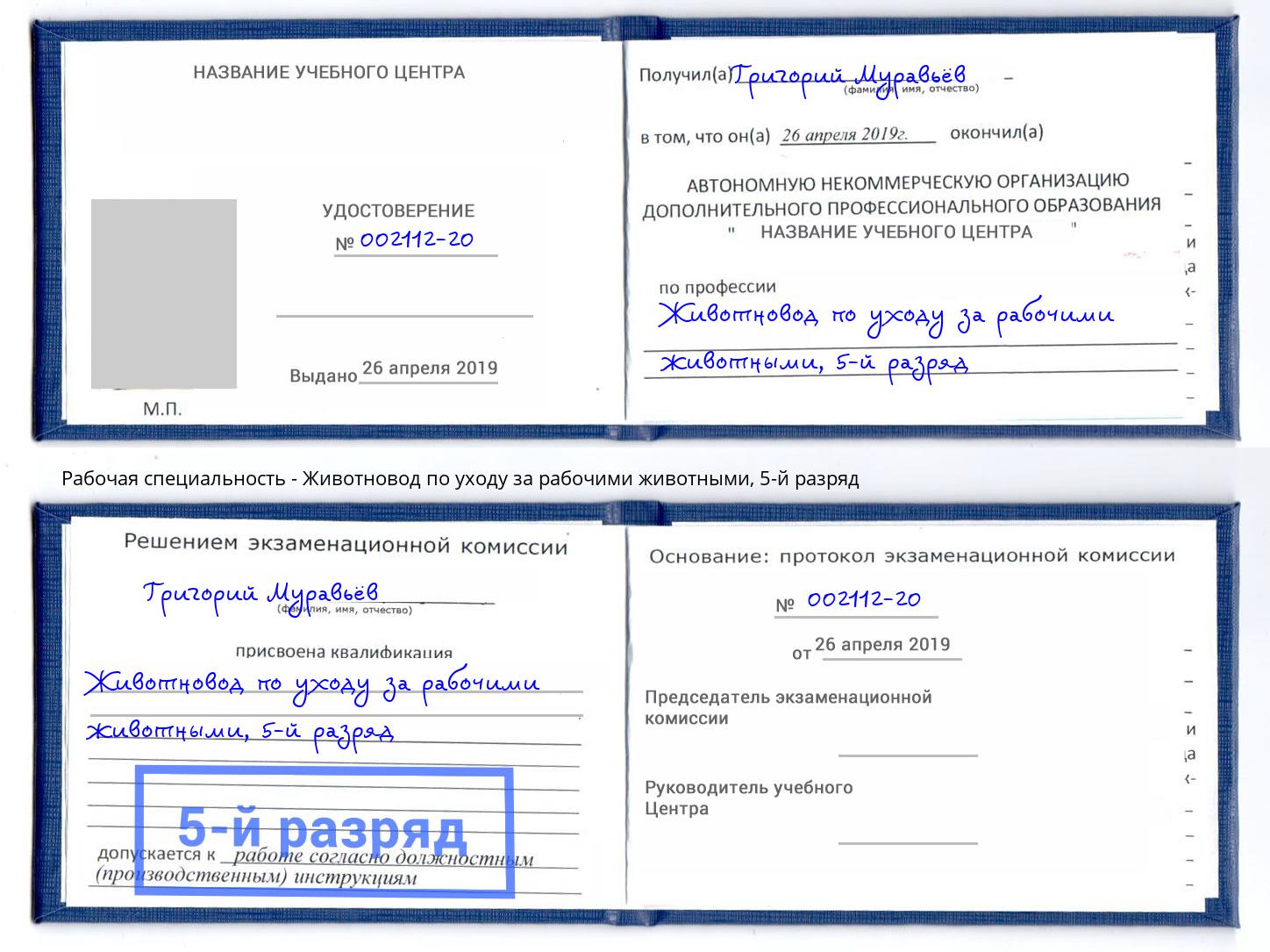 корочка 5-й разряд Животновод по уходу за рабочими животными Междуреченск