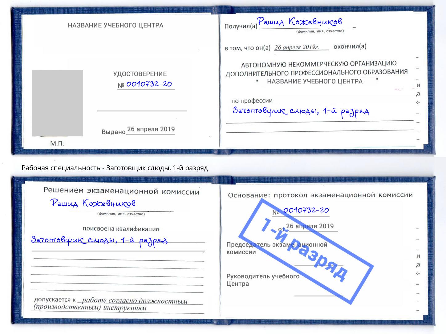 корочка 1-й разряд Заготовщик слюды Междуреченск