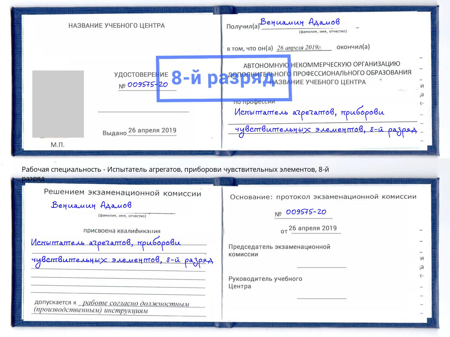 корочка 8-й разряд Испытатель агрегатов, приборови чувствительных элементов Междуреченск